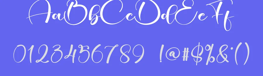 Christmas Signature – Luxury Handwritten Script Font by creativeletter — Script Handwritten Font — thumbnail 3