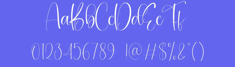 Christmas Silhouette – Elegant Script Handwritten Font by creativeletter — Script Handwritten Font — thumbnail 3