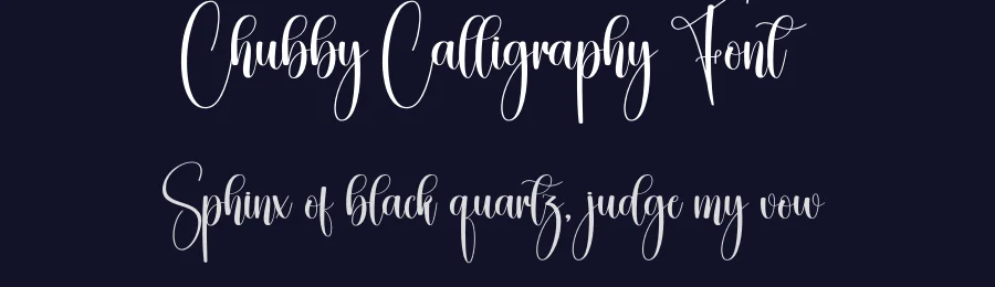 Chubby Calligraphy Font by creativeletter — Script Handwritten Font — thumbnail 2