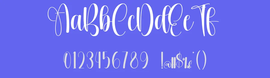 Chubby Calligraphy Font by creativeletter — Script Handwritten Font — thumbnail 3