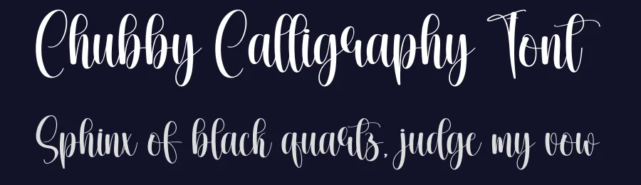 Chubby Calligraphy Font by creativeletter — Script Handwritten Font — thumbnail 2