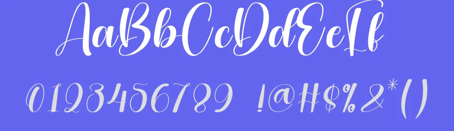 Chubby Calligraphy Script Font by andikastudio — Script Handwritten Font — thumbnail 3