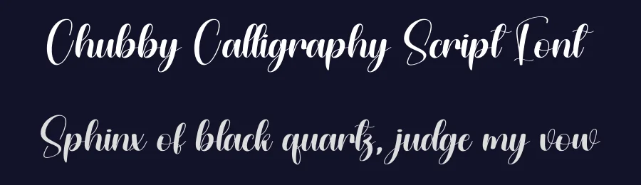 Chubby Calligraphy Script Font by andikastudio — Script Handwritten Font — thumbnail 2