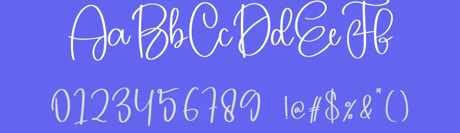 Chunky Script Font by creativeletter — Script Handwritten Font — thumbnail 3