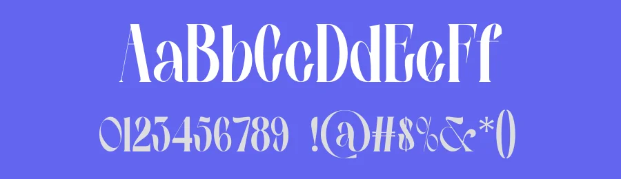 Cienur Font by MaikoHatta — Serif Font — thumbnail 3
