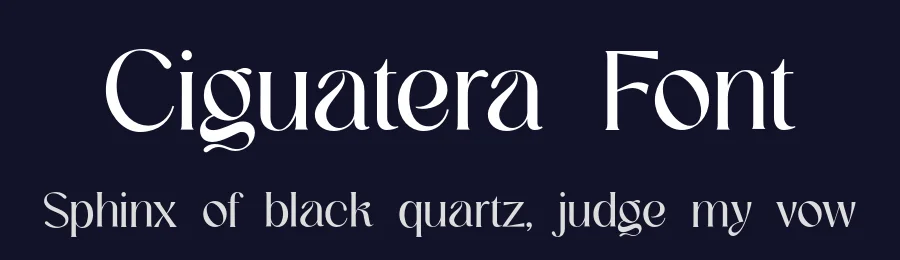 Ciguatera Font by UICreative — Serif Font — thumbnail 2