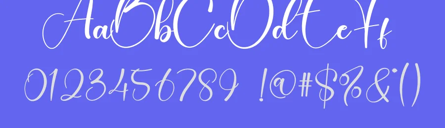 Cinderella Calligraphy Font by creativeletter — Script Handwritten Font — thumbnail 3