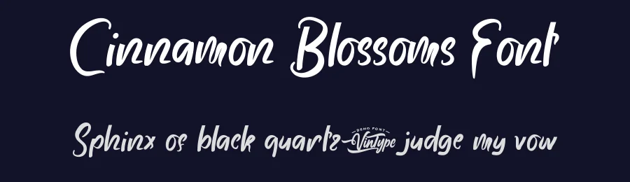 Cinnamon Blossoms Font by VinType — Script Handwritten Font — thumbnail 2