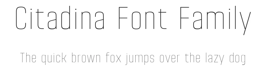 Citadina Font Family by Graviton Font Foundry — Sans Serif Font