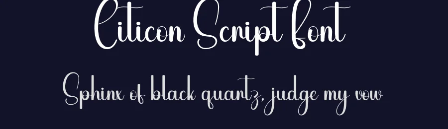 Citicon Script Font by andikastudio — Script Handwritten Font — thumbnail 2