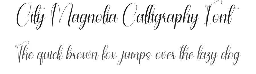 City Magnolia Calligraphy Font by andikastudio — Script Handwritten Font