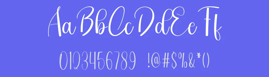 City Newyork Script Font by freshtypeink — Script Handwritten Font — thumbnail 3