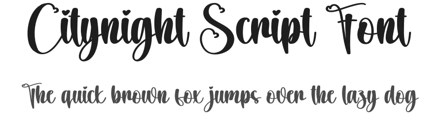 Citynight Script Font by creativeletter — Script Handwritten Font