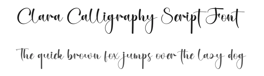 Clara Calligraphy Script Font by creativeletter — Script Handwritten Font