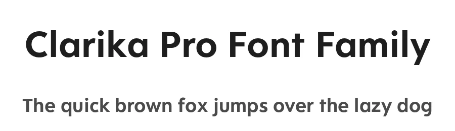 Clarika Pro Font Family by Wild Edge — Sans Serif Font