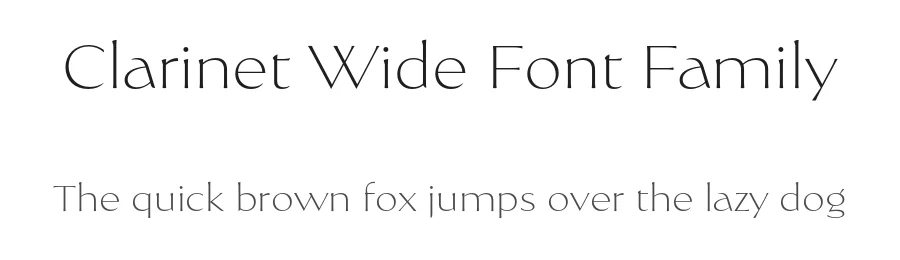 Clarinet Wide Font Family by Setup Type — Serif Font