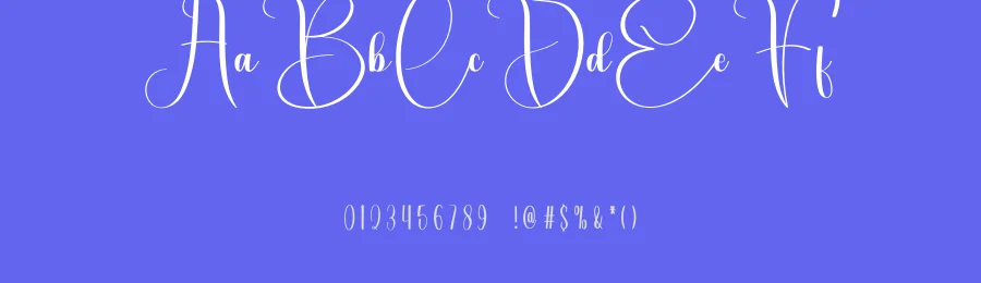 Clarity Calligraphy Script Font by freshtypeink — Script Handwritten Font — thumbnail 3