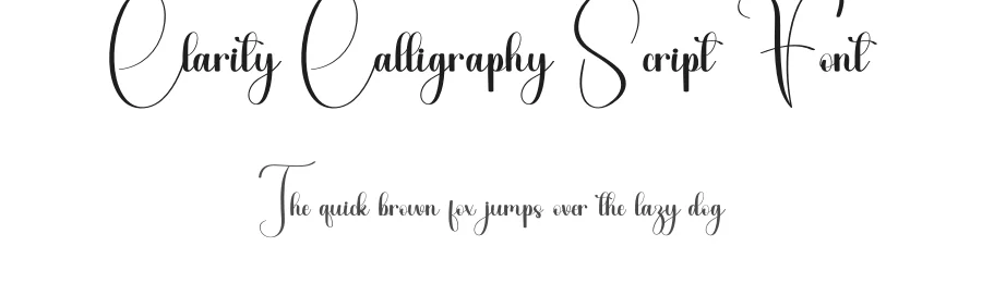 Clarity Calligraphy Script Font by freshtypeink — Script Handwritten Font