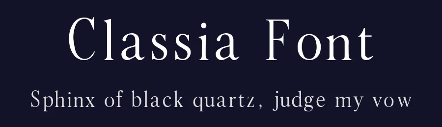 Classia Font by Logy — Serif Font — thumbnail 2