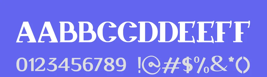 Classic Metadata Font by hayoyuka8 — Serif Font — thumbnail 3