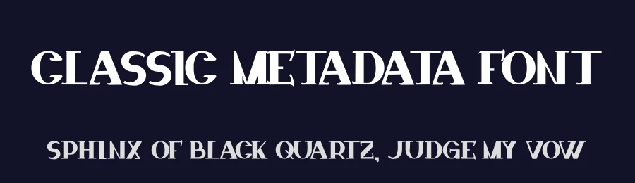 Classic Metadata Font by hayoyuka8 — Serif Font — thumbnail 2