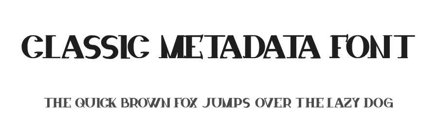 Classic Metadata Font by hayoyuka8 — Serif Font