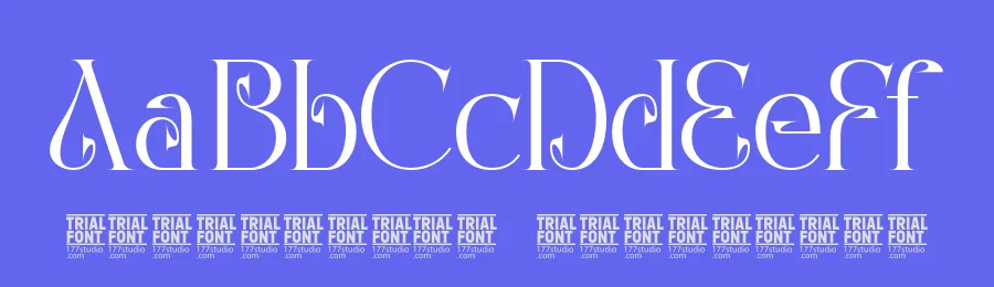 Classical Material – Calligraphic Serif Font by 177Studio — Script Handwritten Font — thumbnail 3