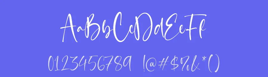 Classy Feathers Font by Timur type — Script Handwritten Font — thumbnail 3