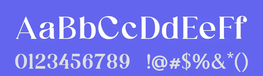 Classy Voguish Font by UICreative — Serif Font — thumbnail 3