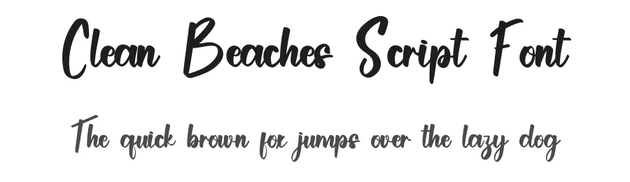 Clean Beaches Script Font by inermediaSTUDIO — Script Handwritten Font