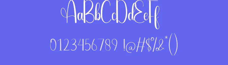 Cleaning Script Font by andikastudio — Script Handwritten Font — thumbnail 3