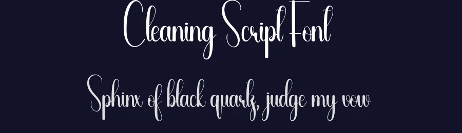 Cleaning Script Font by andikastudio — Script Handwritten Font — thumbnail 2