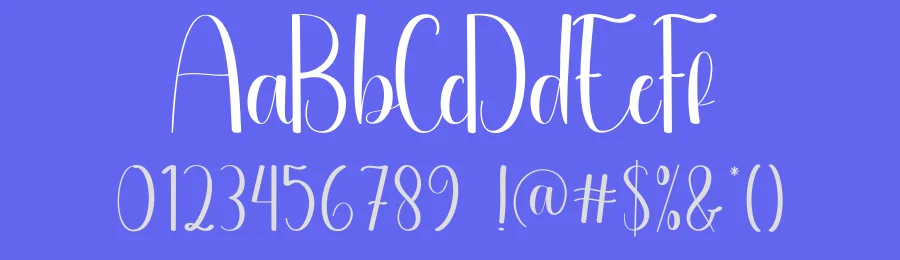 Cleaning Script Typeface by andikastudio — Script Handwritten Font — thumbnail 3