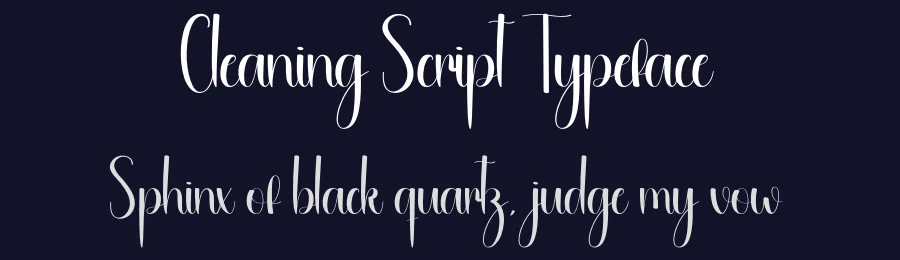 Cleaning Script Typeface by andikastudio — Script Handwritten Font — thumbnail 2