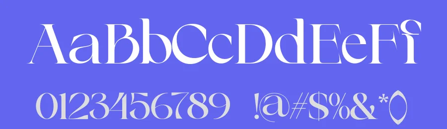 Clucks Font Family by zaain type — Decorative Font — thumbnail 3