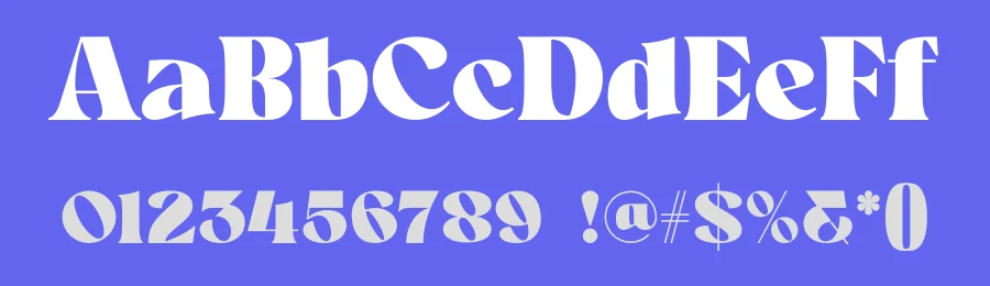 Clyra Font by Maiko Hatta — Serif Font — thumbnail 3