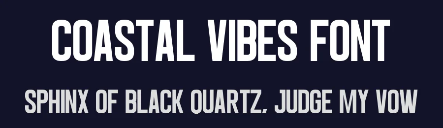 Coastal Vibes Font by Craftedtype — Decorative Font — thumbnail 2