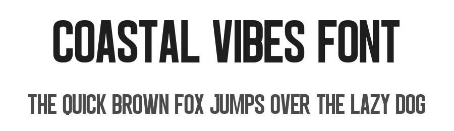 Coastal Vibes Font by Craftedtype — Decorative Font