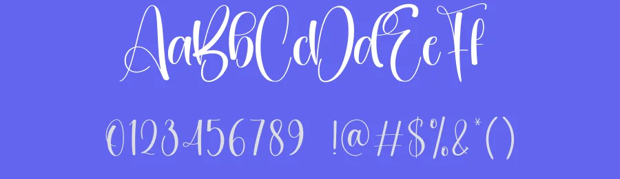 Coasters Calligraphy Font by creativeletter — Script Handwritten Font — thumbnail 3