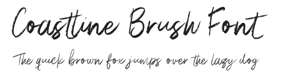 Coastline Brush Font by Surplus Type Co — Script Handwritten Font