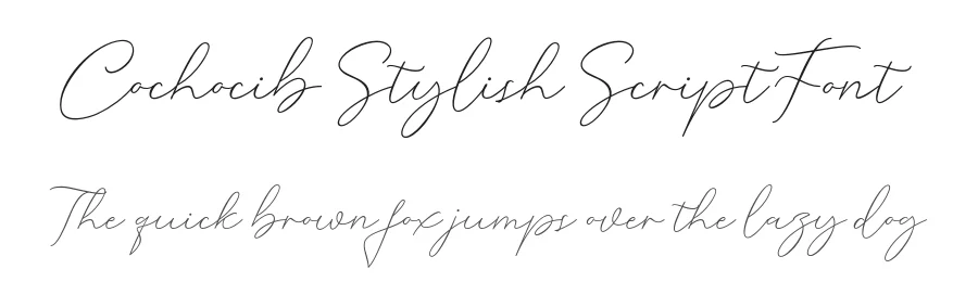 Cochocib Stylish Script Font by saffatin.co — Script Handwritten Font