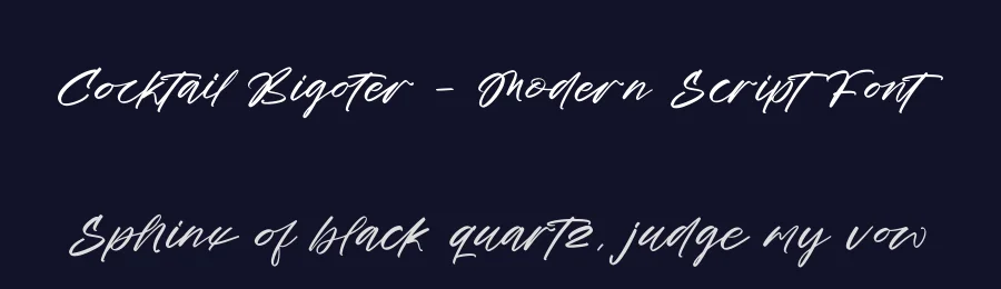 Cocktail Bigoter – Modern Script Font by stylishtype.co — Script Handwritten Font — thumbnail 2