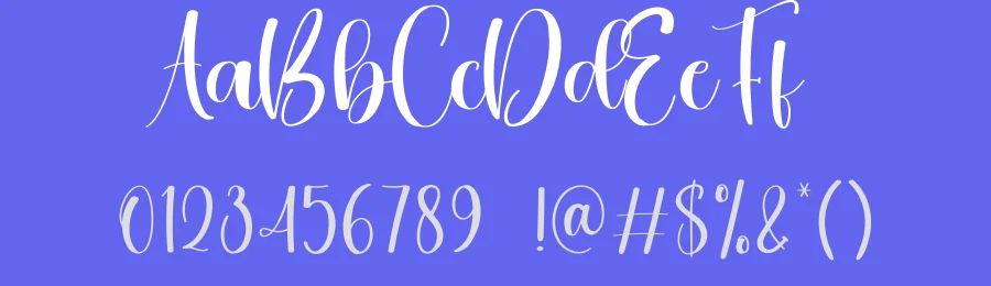 Coffelate Calligraphy Script Font by creativeletter — Script Handwritten Font — thumbnail 3