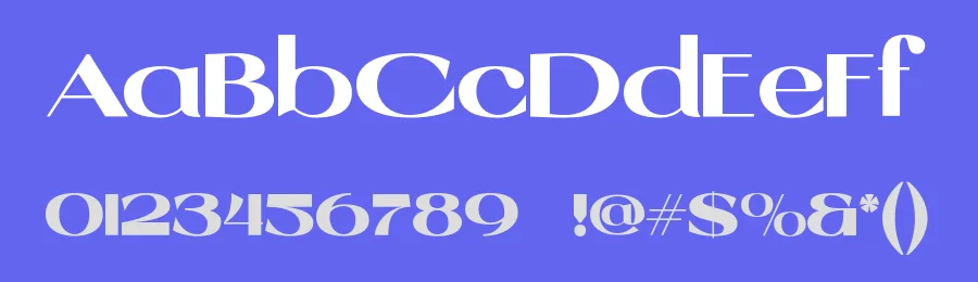 Coky – Elegant Sans Font by roomspace.cl — Serif Font — thumbnail 3