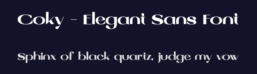 Coky – Elegant Sans Font by roomspace.cl — Serif Font — thumbnail 2