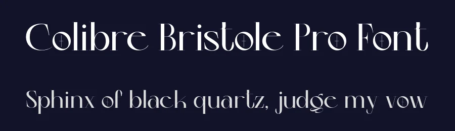 Colibre Bristole Pro Font by Jolicia Type — Serif Font — thumbnail 2