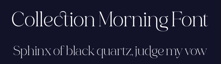 Collection Morning Font by timelesstype.co — Serif Font — thumbnail 2