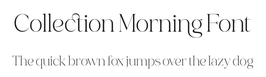 Collection Morning Font by timelesstype.co — Serif Font