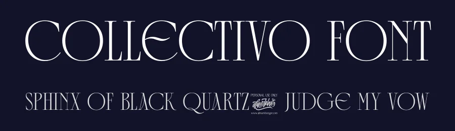 Collectivo Font by Almarkha Type — Serif Font — thumbnail 2