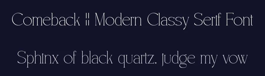 Comeback || Modern Classy Serif Font by ErmediaStudio — Display Font — thumbnail 2